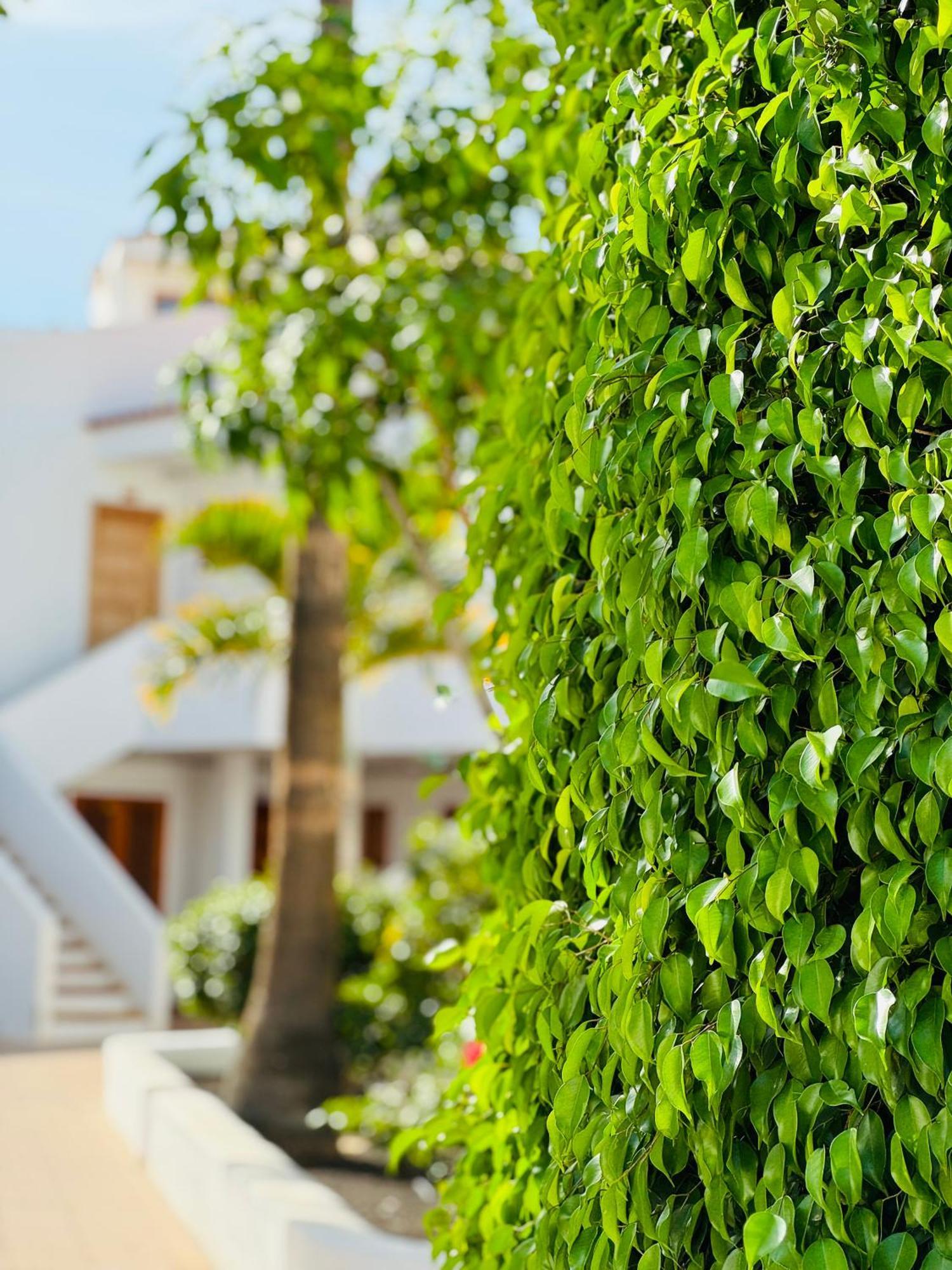 Garden City Private Apartment Costa Adeje Плайя-Фаньябе Экстерьер фото